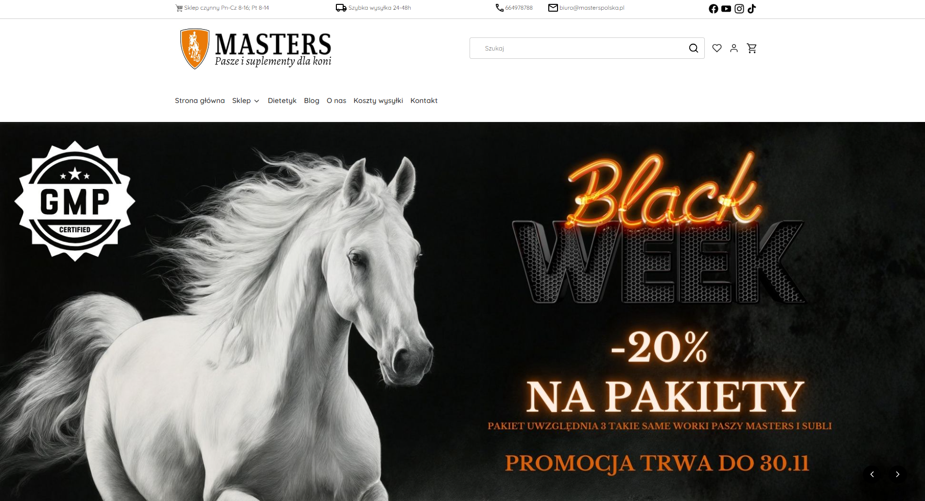 Pasza dla koni z problemami zdrowotnymi - jakie składniki wspierają trawienie, stawy i odporność?